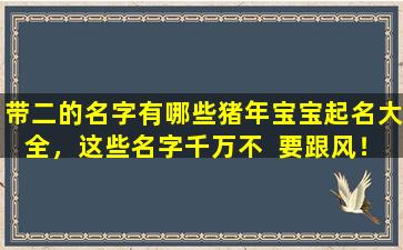 带二的名字有哪些猪年宝宝起名大全，这些名字千万不  要跟风！